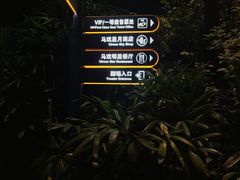 -广州长隆国际大马戏