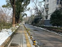 -谷咖啡·鲜花绿植花园餐厅