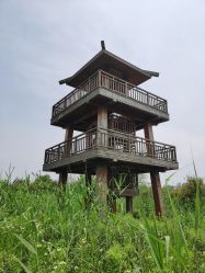-水八仙生态园