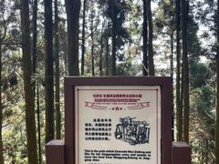 -井冈山风景名胜区-黄洋界