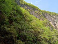 -山西通天峡景区