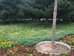 -玲珑塔公园