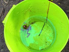 -碓臼峪自然风景区