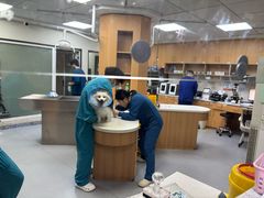 -联合动物医院(光谷诊疗中心)