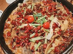 -老板恋上鱼(恒隆广场店)