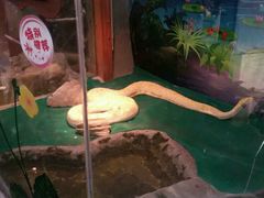 -上海昆虫博物馆