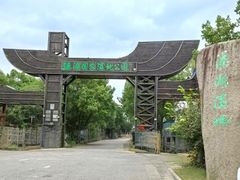 -溱湖国家湿地公园