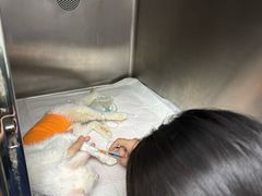 -爱侣宠医·鹦鹉专科·小型哺乳类·异宠专科(灵石路店)