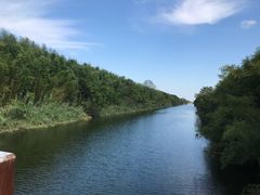 -黄海国家森林公园