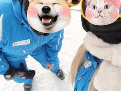 -亚布力新体委滑雪场