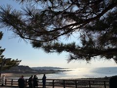 -青岛海滨风景区