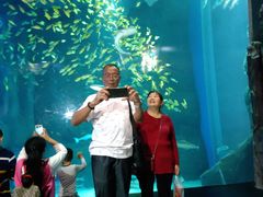 -成都浩海立方海洋公园