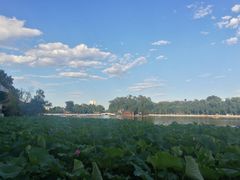 -小王府(什刹海店)