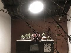 -翠田Green Field Kitchen
