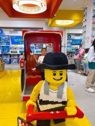 -乐高品牌旗舰店(人民广场店)