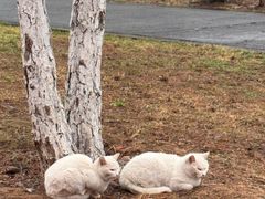 -炉忆家宴·和昌里生日餐厅