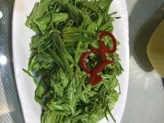 松尖-九头鸟酒家(四道口店)