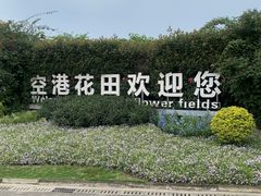 -空港花田景区
