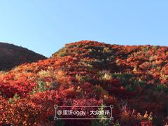 -周口店坡峰岭风景区