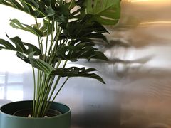 -弱水三千咖啡(达明店)