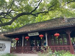 -上海醉白池公园