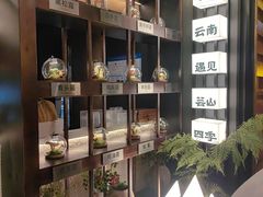 -芸山季·云南山珍菌火锅(人民广场来福士店)