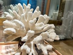 -品海楼·大连海鲜(老虎滩店)