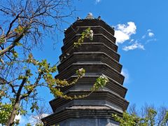 -正阳书局(西四南大街店)