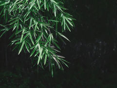 -阿哈湖国家湿地公园