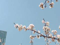 -西北湖绿化广场