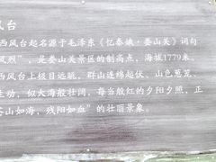 -娄山关景区