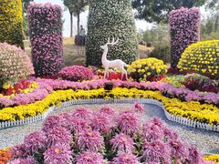 -小榄人家酒楼(民安店)