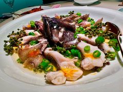 -CHIC1699远洋私厨