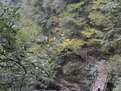 -山沟沟景区