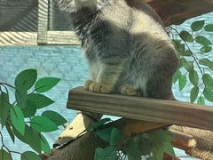 -青藏高原野生动物园