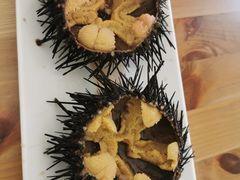 生海胆-海胆小馆(东北水饺·春柳店)