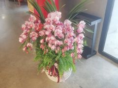 -manabe (共和新路店)