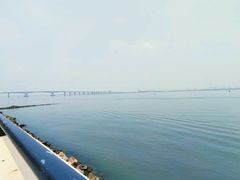-大湾区中央湿地公园