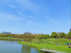 -尚贤河湿地