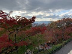 -有栖山 清光院 清水寺