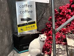 -作咖啡(养育巷店)