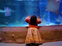 -沈阳海洋探索中心