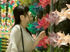 -大塘金香草谷