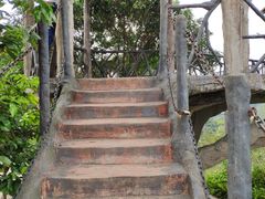 -松山湖梦幻百花洲
