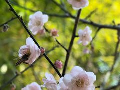 -桃花涧