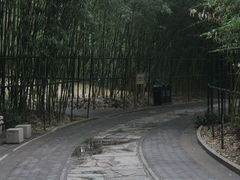 景点-紫竹院公园冰场