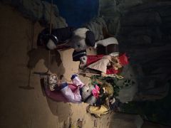 iphone_upload_pic-成都泰迪熊博物馆