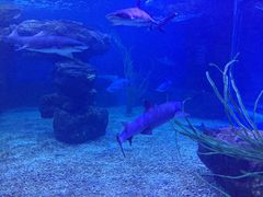 -多彩贵州城极地海洋世界