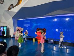 -泉城欧乐堡海洋极地世界