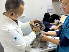 -美联众合动物医院·24h转诊中心